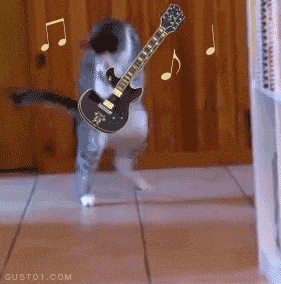 Ashutosh Gartaula-gif